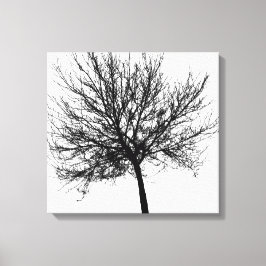Kontur för Träd Canvastryck