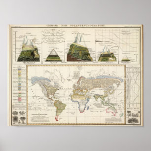 Kontur för växtgeografi poster