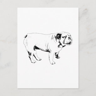 kontur hello, bulldog vykort