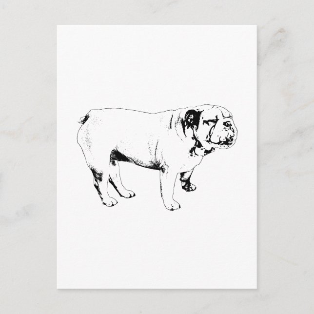 kontur hello, bulldog vykort (Framsida)