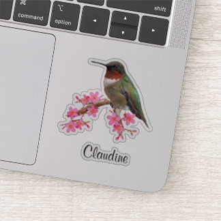 Konturera Rosa Flowers & Hummingbird Vinyl Sticker Klistermärken