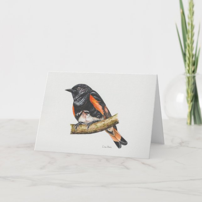Konturkort för amerikanska Redstart Warbler Art Ca Tack Kort (Framsida)