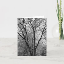 Konturkort för Stark Snö