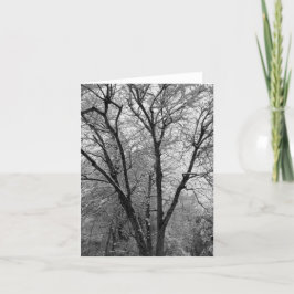 Konturkort för Stark Snö Tack Kort