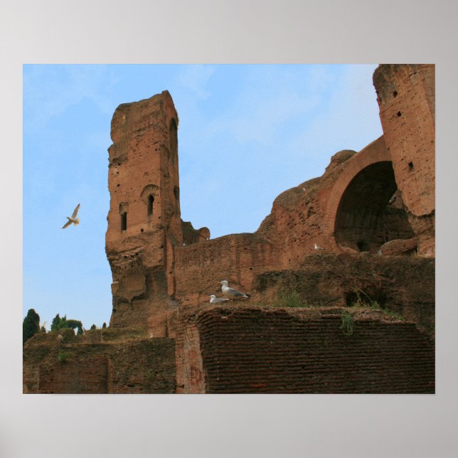 Konungariket Fiskmås Poster (Framsidan)