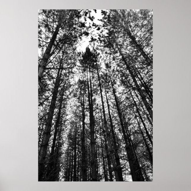 Konvergerande element poster (Framsidan)