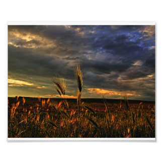 Konversation med vinden fototryck