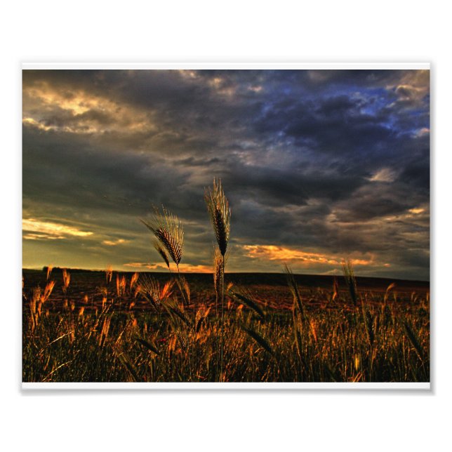 Konversation med vinden fototryck (Framsidan)