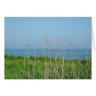 Konversationer vid havet OBS kort