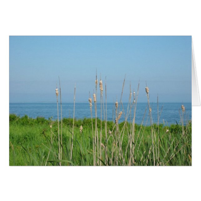 Konversationer vid havet OBS kort (Framsidan Horizontal)