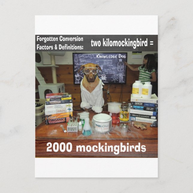 Konverteringskilomockingbird som glömts i Knowledg Vykort (Framsida)