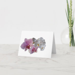 Konymoi "Orchid Bloom" tomt, mappat gratulationsko Kort