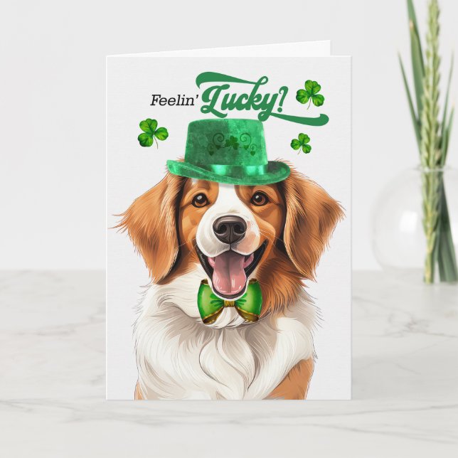 Kooikerhondje Hund Feelin' Lucky St patrick's day Helgkort (Framsida)