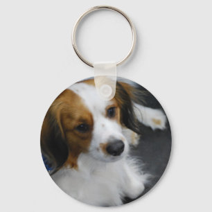 Kooikerhondje Hund Keychain Nyckelring