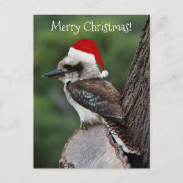 Kookaburra Bird Animal Red Santa Hat jul Vykort