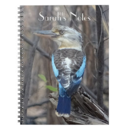 Kookaburra Bird Anteckningsbok