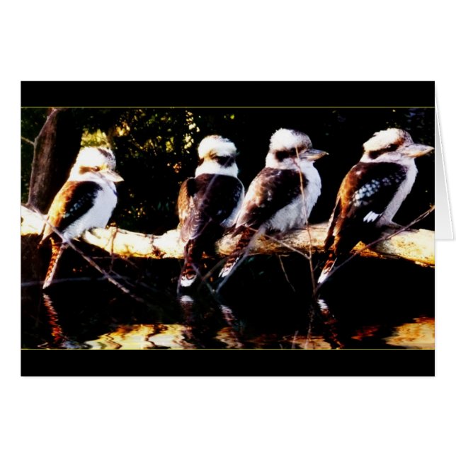 Kookaburra Bird Choir Card Hälsningskort (Framsidan Horizontal)