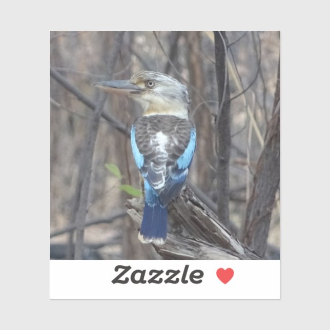 Kookaburra Bird Klistermärken (Ark)