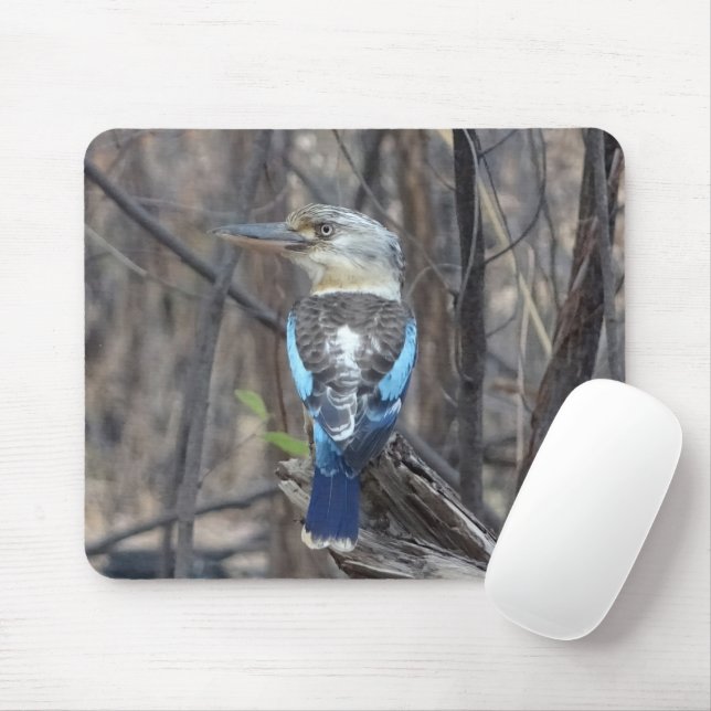 Kookaburra Bird Musmatta (Med mus)