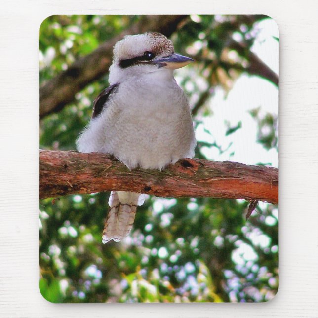 Kookaburra Bird vid träd gren Mousepad Musmatta (Framsidan)