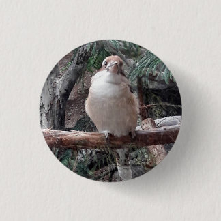 Kookaburra Button Knapp
