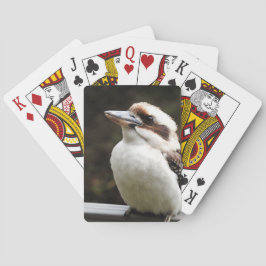 Kookaburra Casinokort