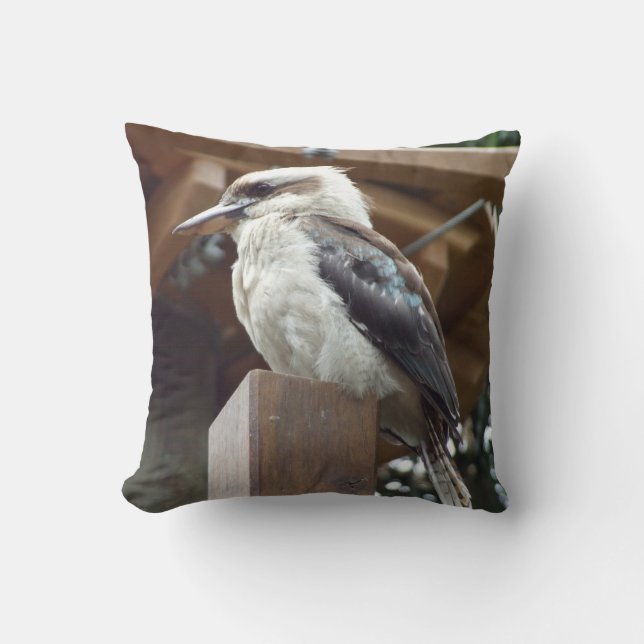 Kookaburra dämpar kudde (Framsida)