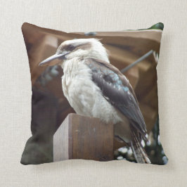 Kookaburra dämpar kudde