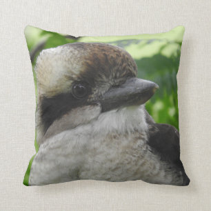 Kookaburra dämpar kudde