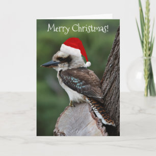 Kookaburra Fågeldjur Red Santa Hat jul Kort