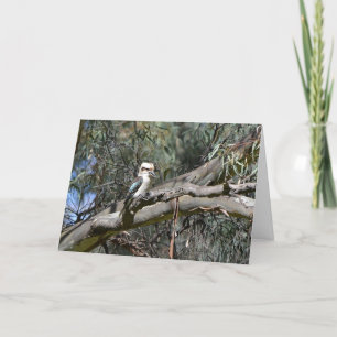 Kookaburra födelsedagkort kort