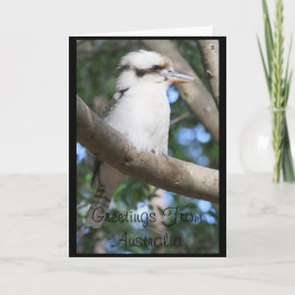 Kookaburra Hälsning från Australiens gratulationsk Kort