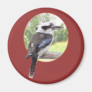 Kookaburra i Circle Magnet
