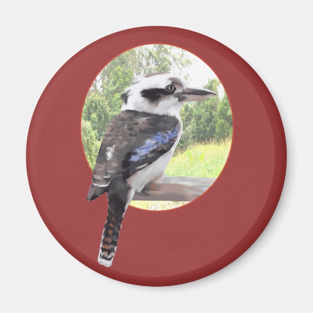 Kookaburra i Circle Magnet (Framsidan)