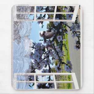 Kookaburra in My Window, Mousepad Musmatta