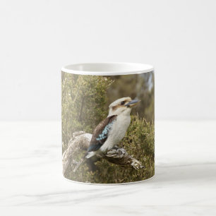Kookaburra Kaffemugg
