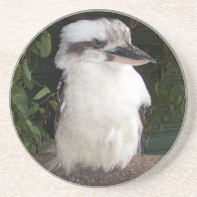 Kookaburra kustfartyg underlägg (Framsidan)