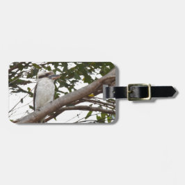 "KOOKABURRA LANTLIGA QUEENSLAND AUSTRALIEN BAGAGEBRICKA