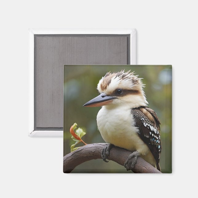 Kookaburra Magnet (Front/Back)
