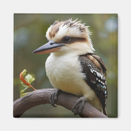 Kookaburra Magnet