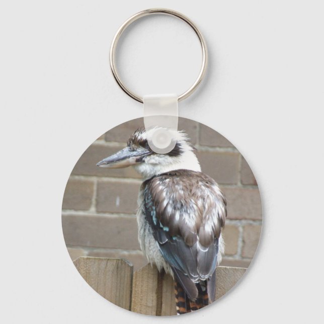 Kookaburra Nyckelring (Framsida)