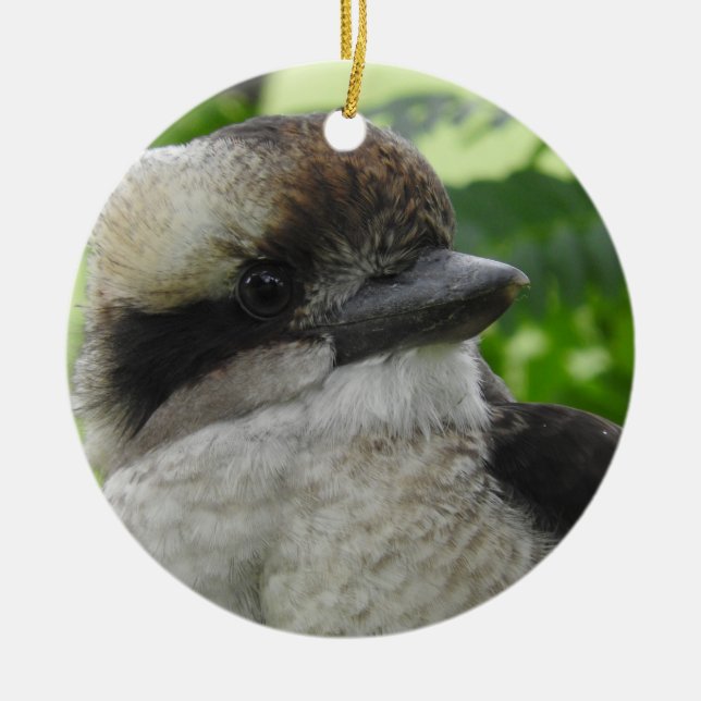 Kookaburra Ornament (Framsidan)