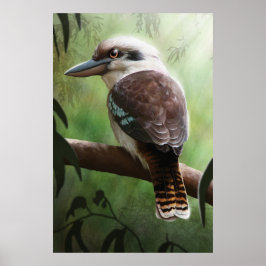 Kookaburra Poster