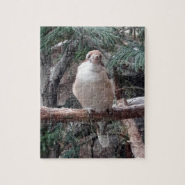 Kookaburra Puzzle Pussel