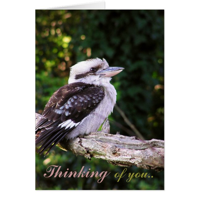 Kookaburra Thoughts... Kort (Framsidan)