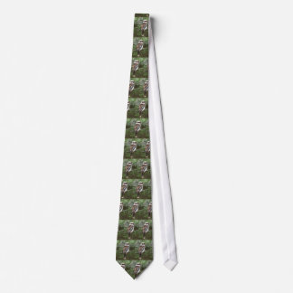 Kookaburra Tie Slips