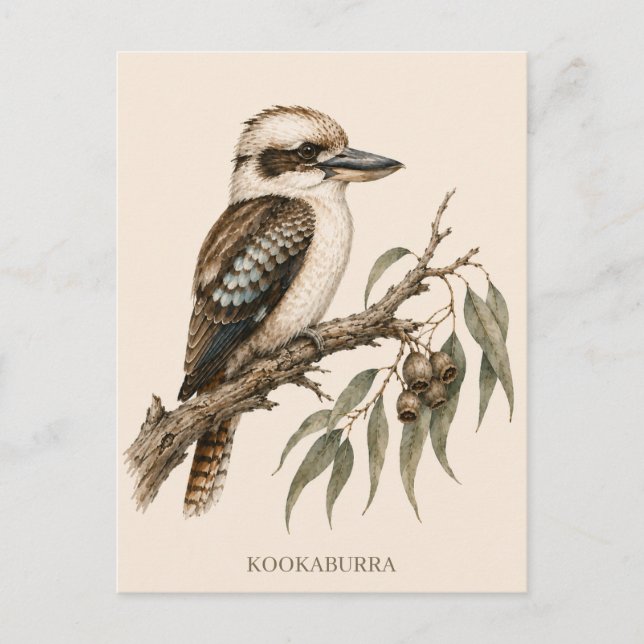 Kookaburra vykort | Bush Edition (Framsida)