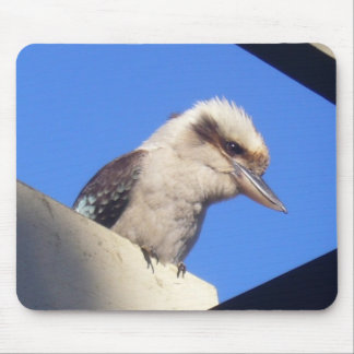 kookaburramousepad musmatta