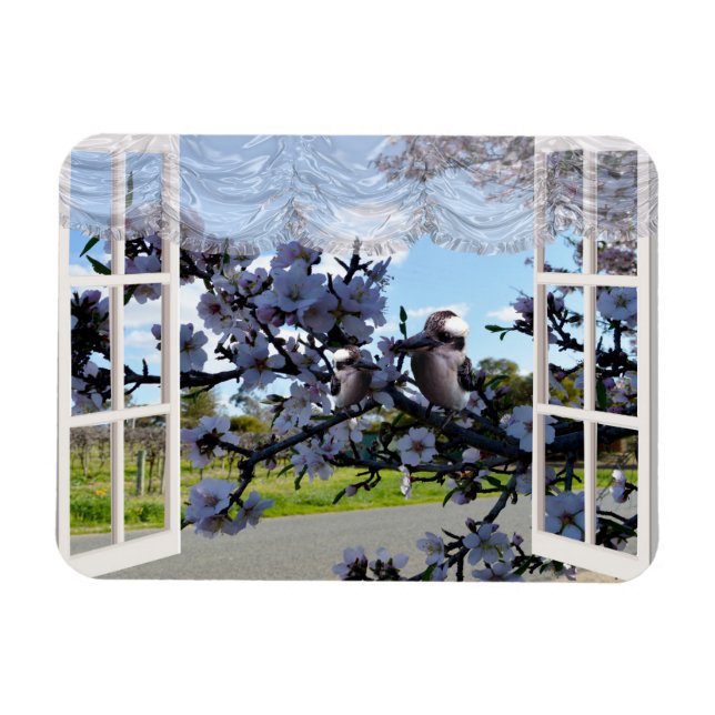 Kookaburras in My Window, Magnet (Horisontell)