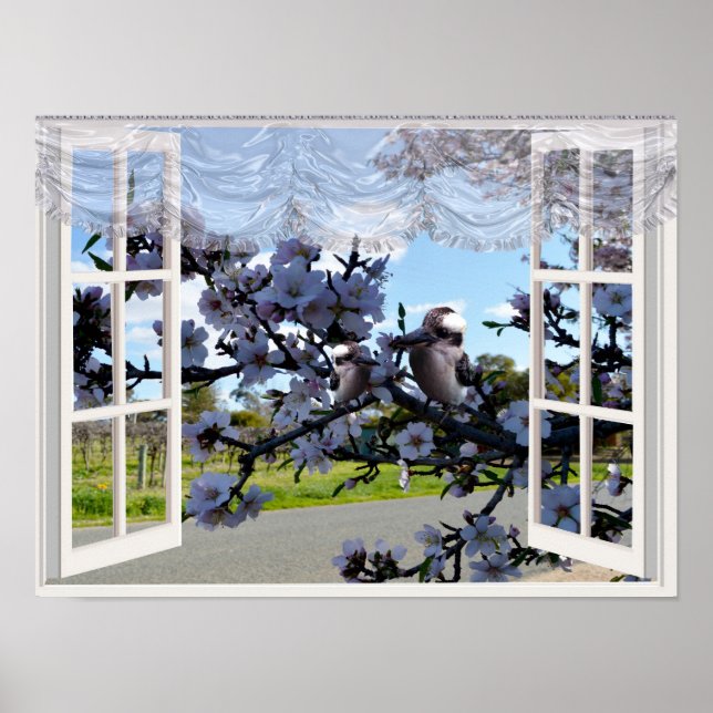 Kookaburras in My Window, Poster (Framsidan)